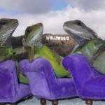 2.75 (out of 5) Hollywood Lizards.